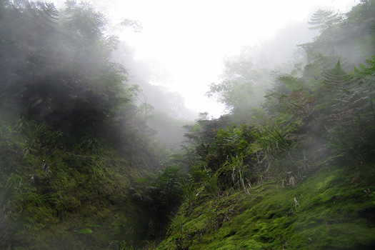 Fuentes Georginas, a natural spa high up in the hills near Zunil