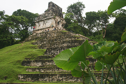Templo de la Cruz, Palenque