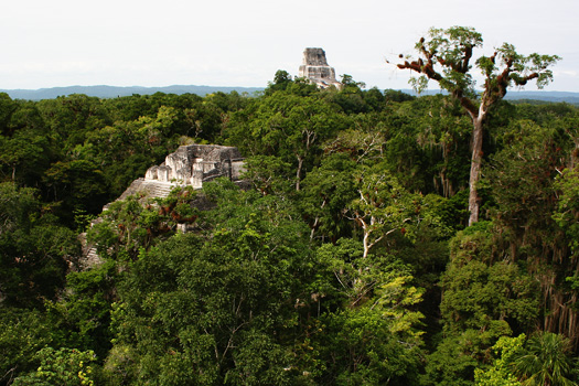 Looking west on top of the 32 metres high Pyramid of the Lost World