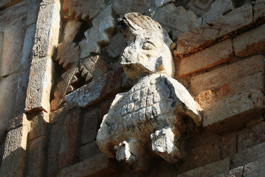 Macaw adorning the northern wall of the Nun's Quadrangle